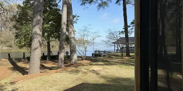 701 Forest Point Drive