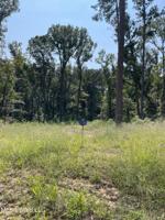 Calliope Park