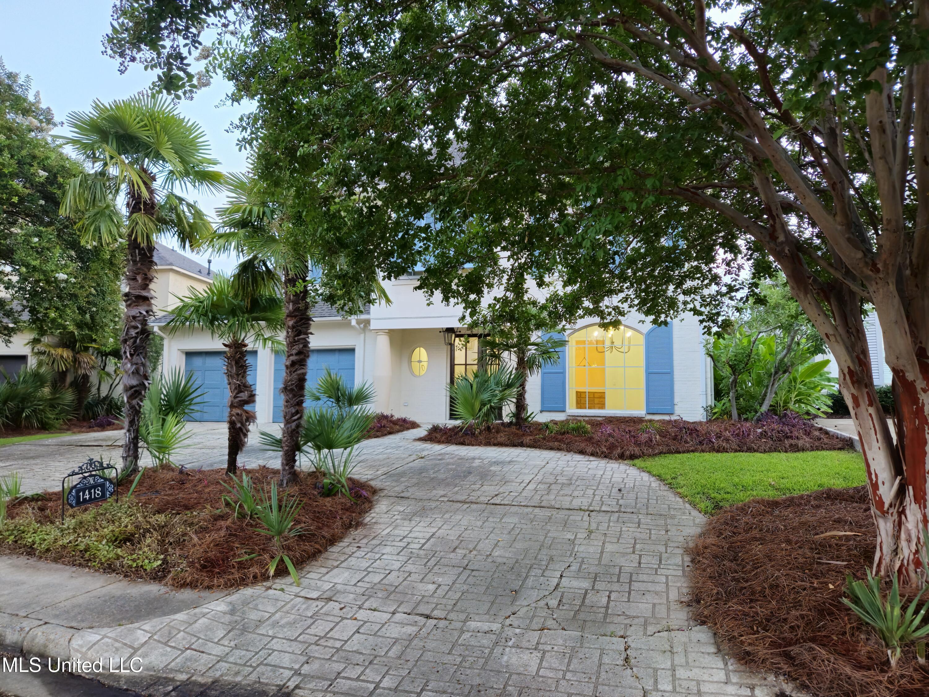 Image 3: 20250801_061908