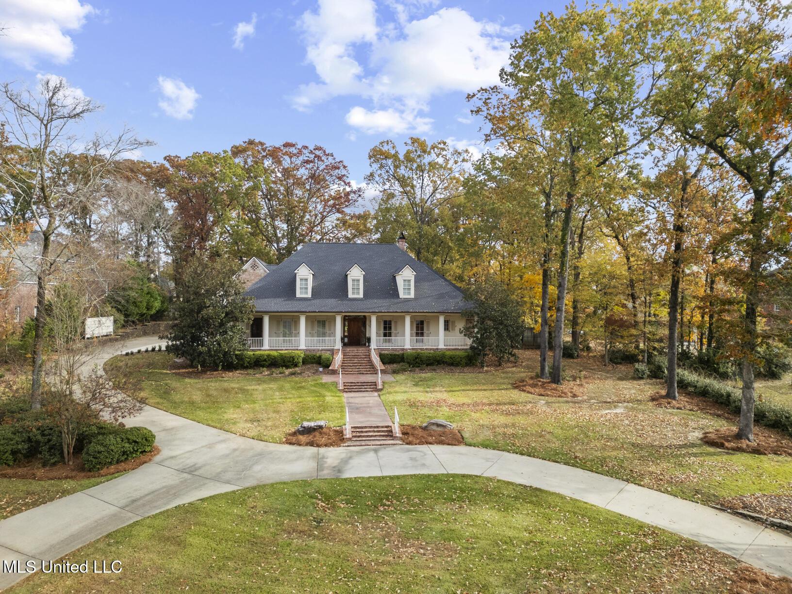 Image 3: 103 Cherry laurel drone-1