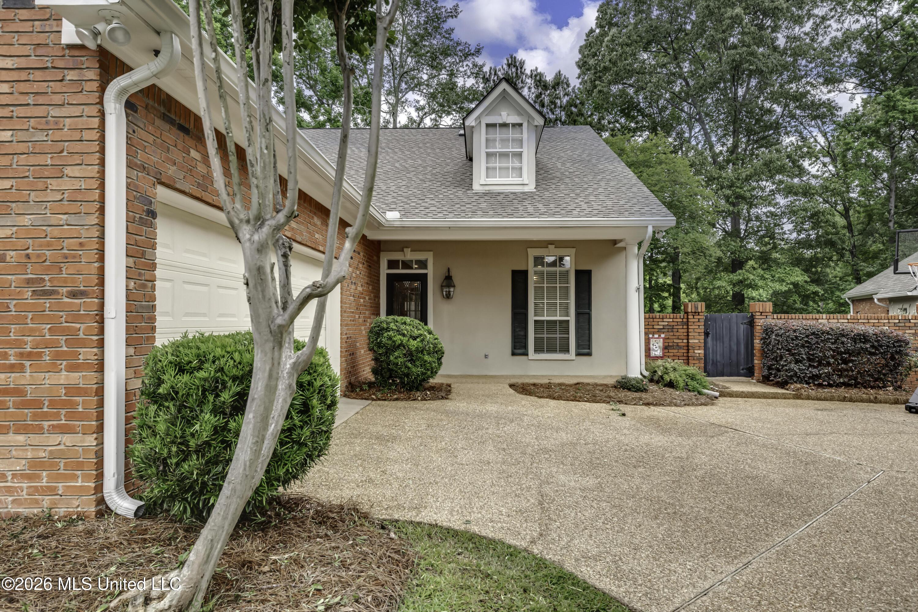 Image 3: 113 Rhapsody Cir--8