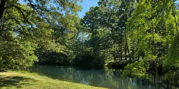 106 Holly Trail