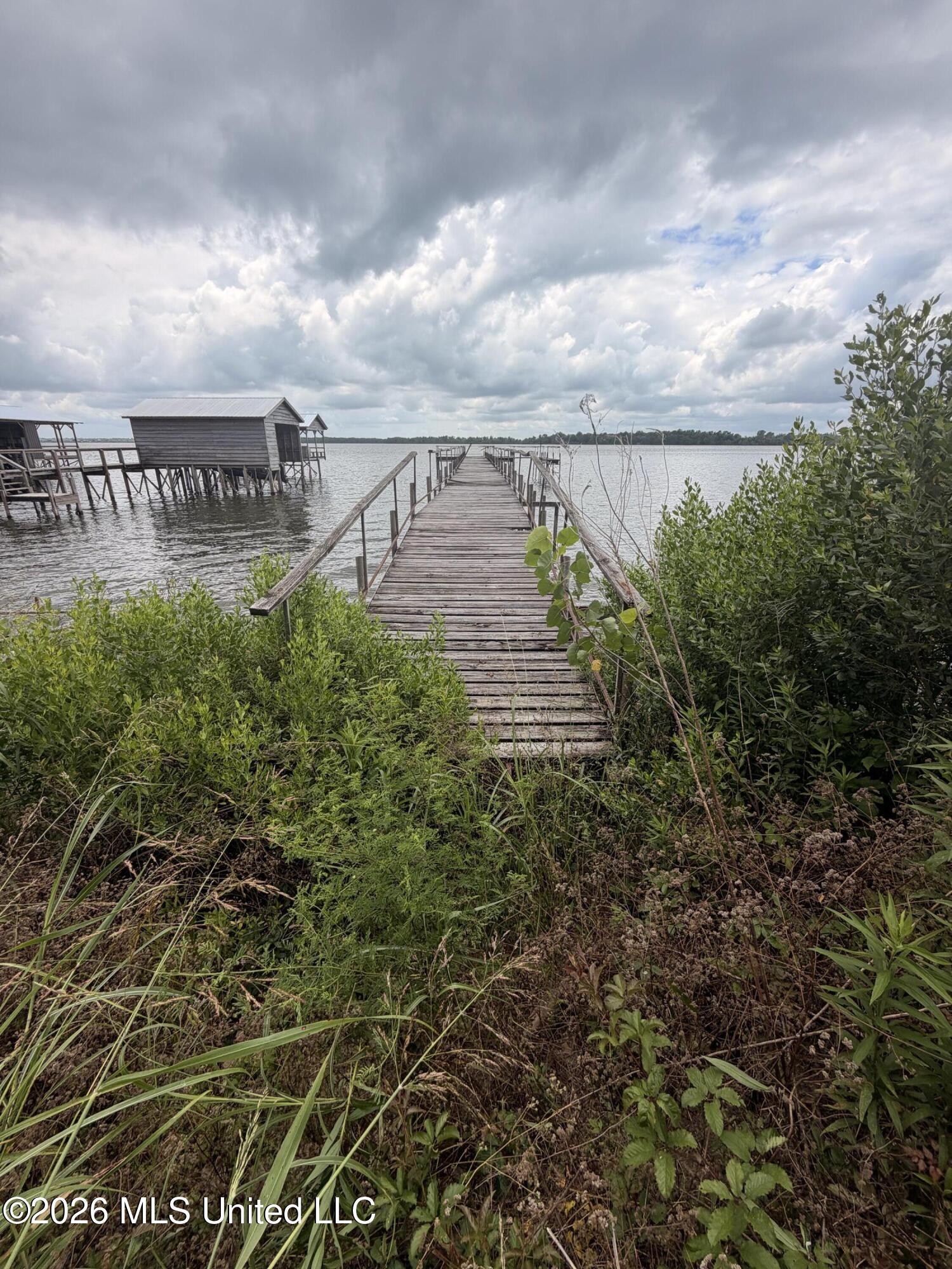 Image 3: Dock