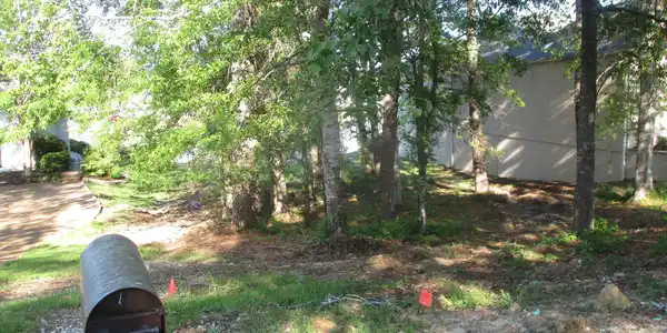 Image 4: 044