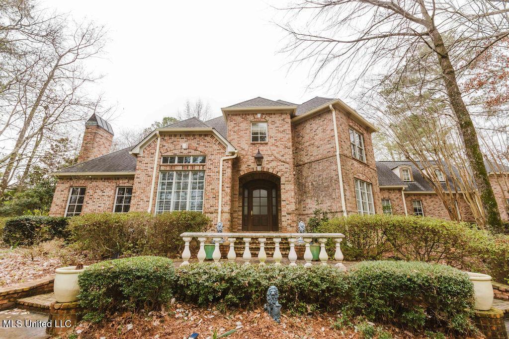 Image 3: watsonphotography260123141811