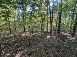 Image 1: fd796e14-b44a-4239-b652-a7135c35a620