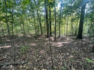 Image 2: cccf315d-964a-4af6-a1ef-b9e61ee7320c