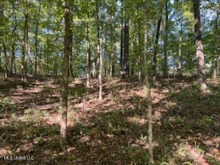 Image 3: f07d01d6-6af9-4acf-b131-1609a4de2094