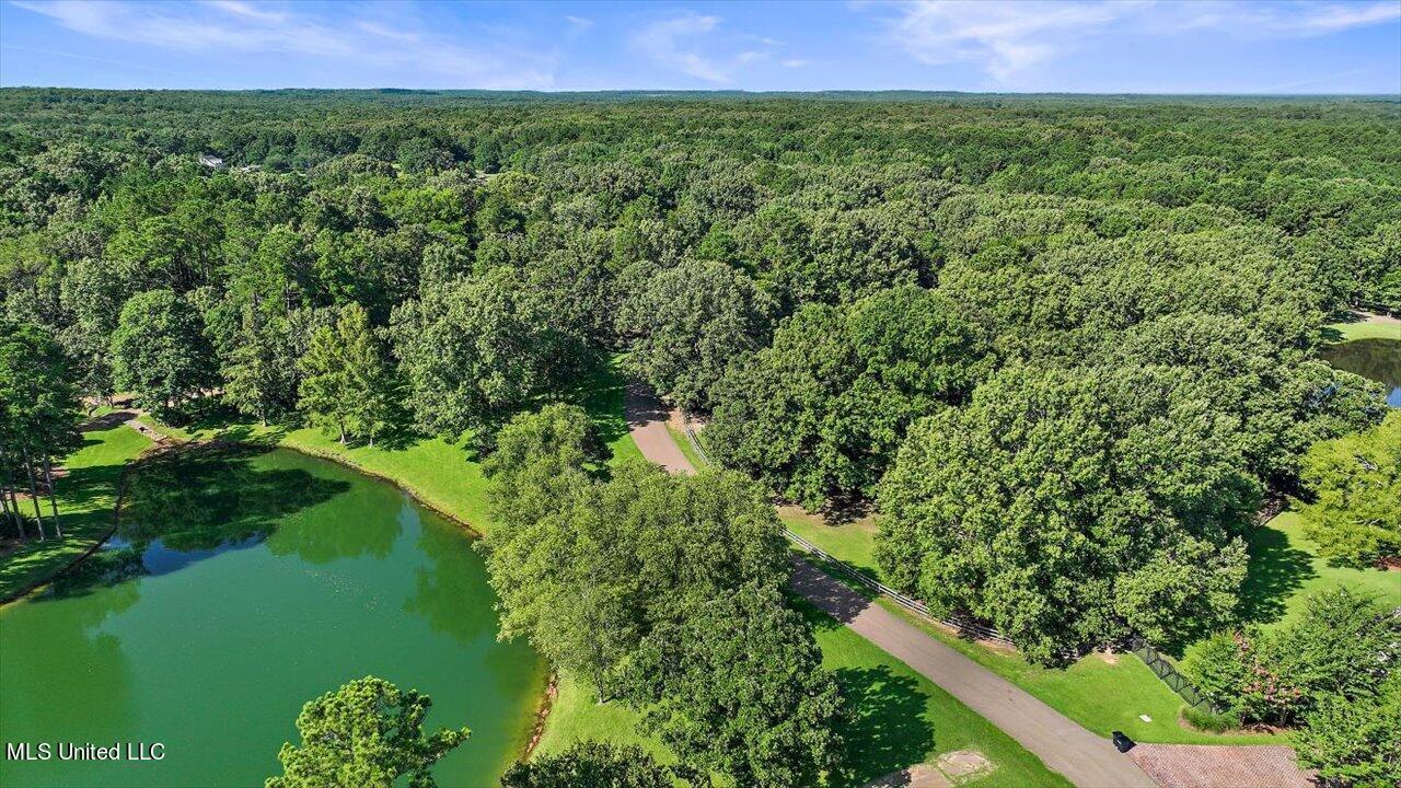 Image 3: 06-1063 Robinson Springs Rd