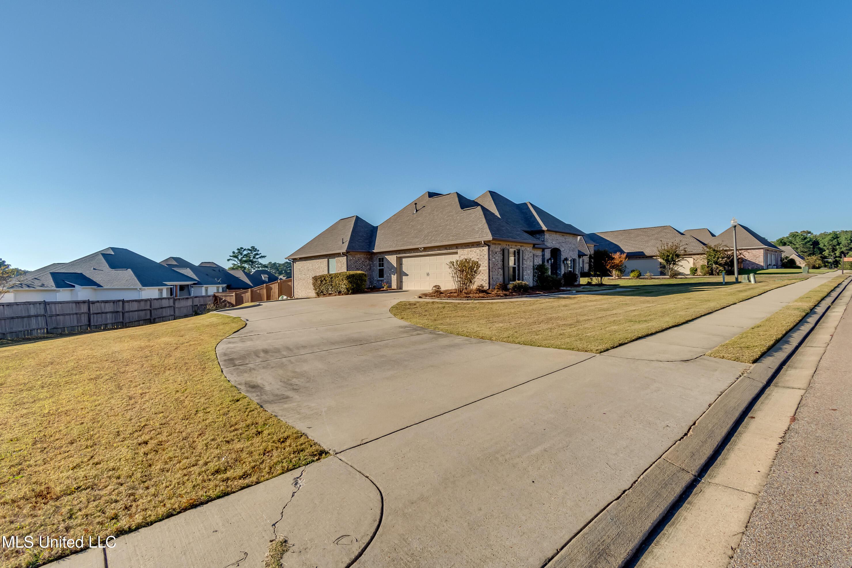 Image 3: 83 Brisco-7