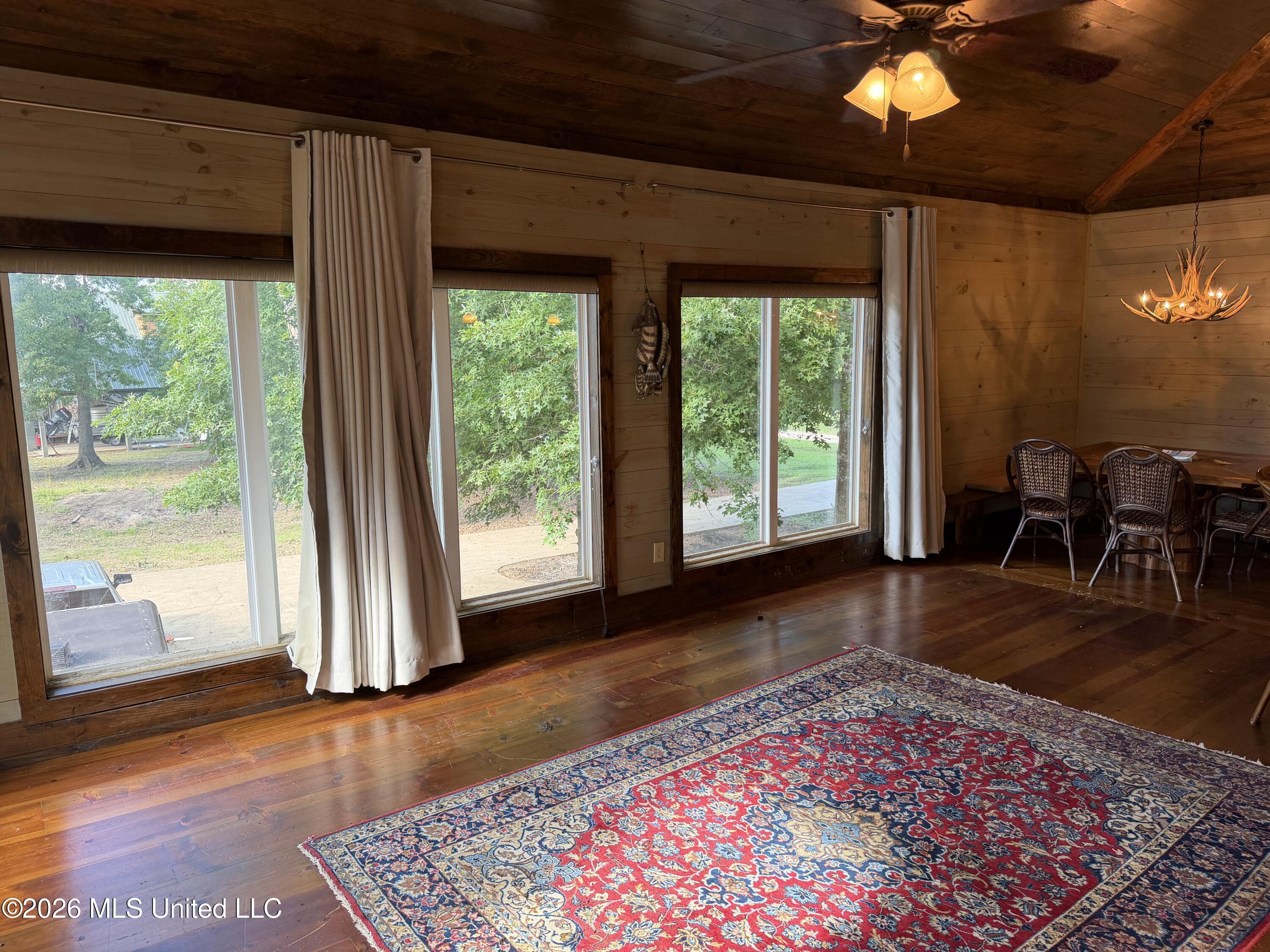 Image 3: IMG_0833