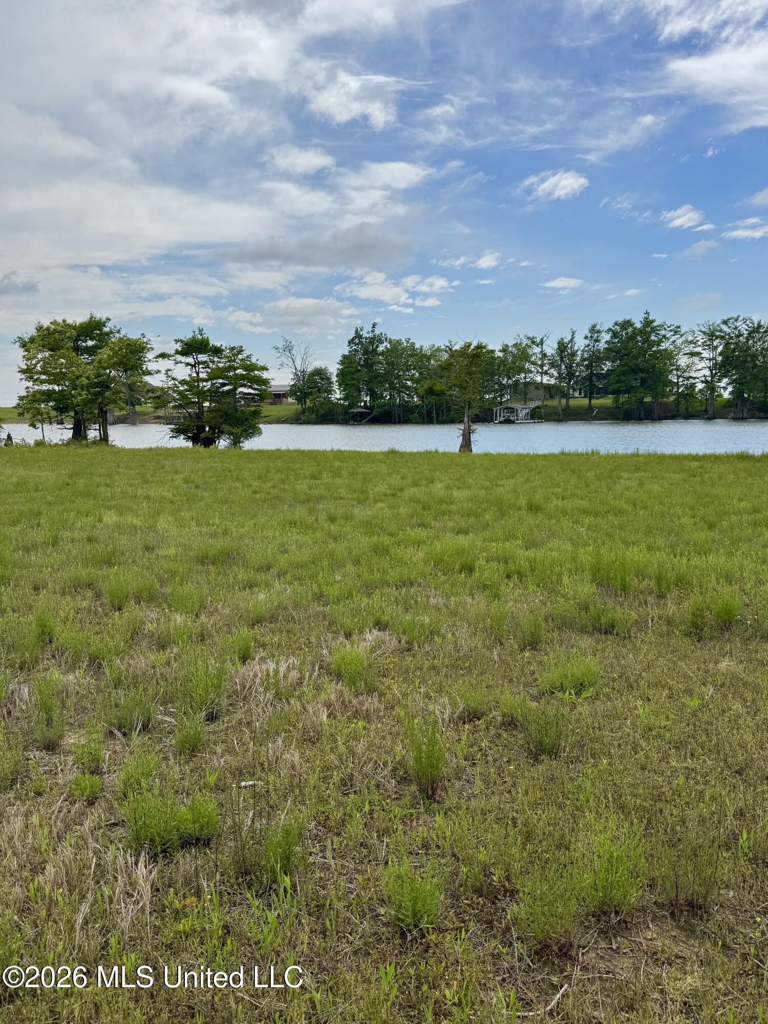 Image 3: IMG_4815