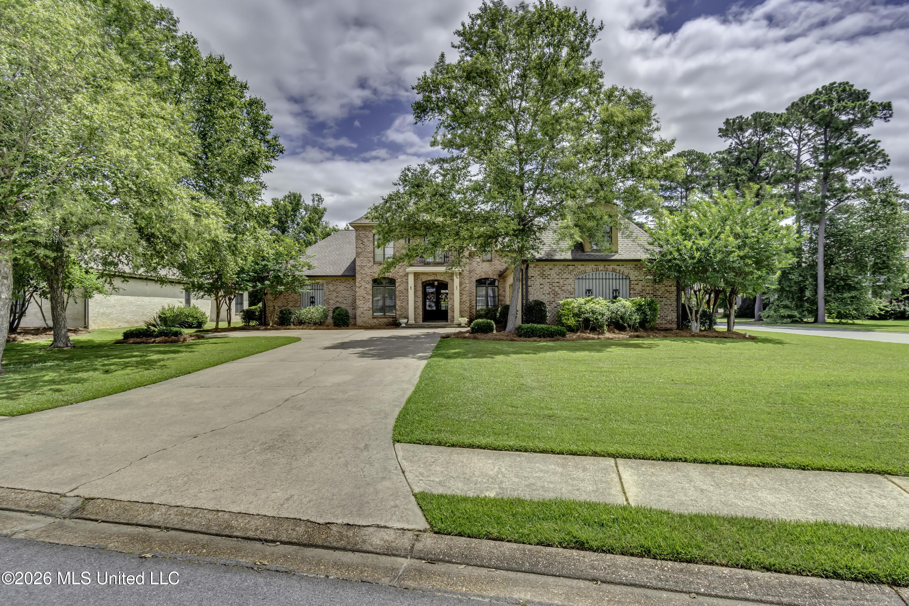 Image 3: 113 Grandview Pl--7