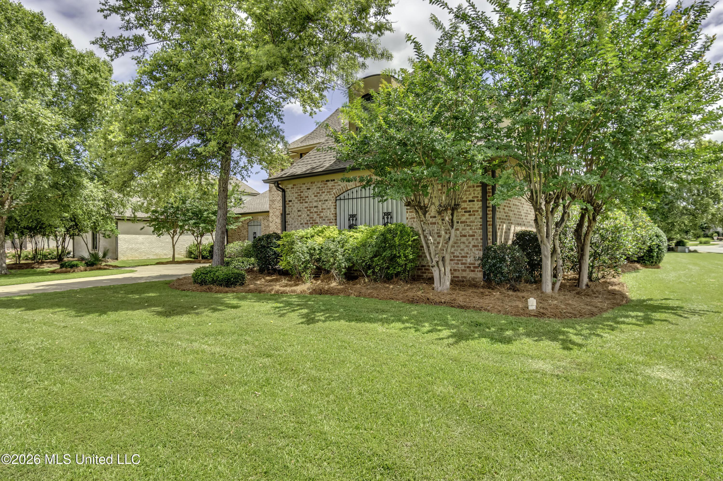 Image 4: 113 Grandview Pl--8