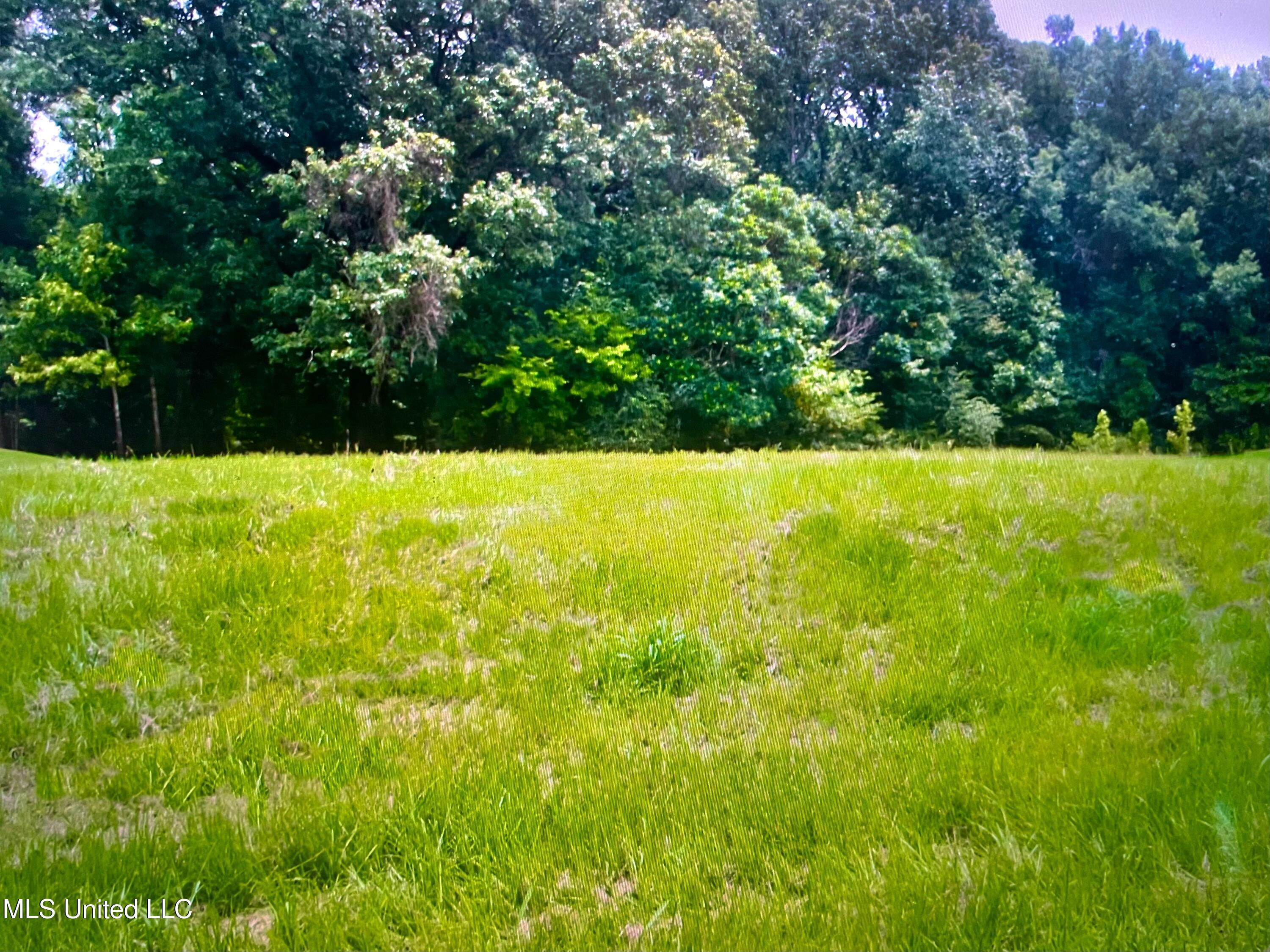 Image 1: lot row