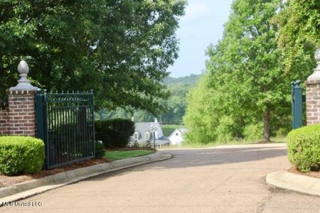 Chestnut Hill Road