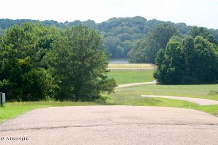Chestnut Hill Road