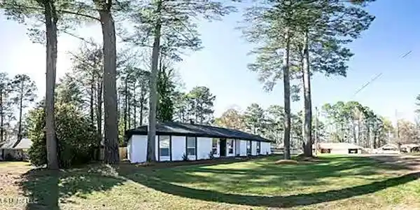 100 Vine Lane