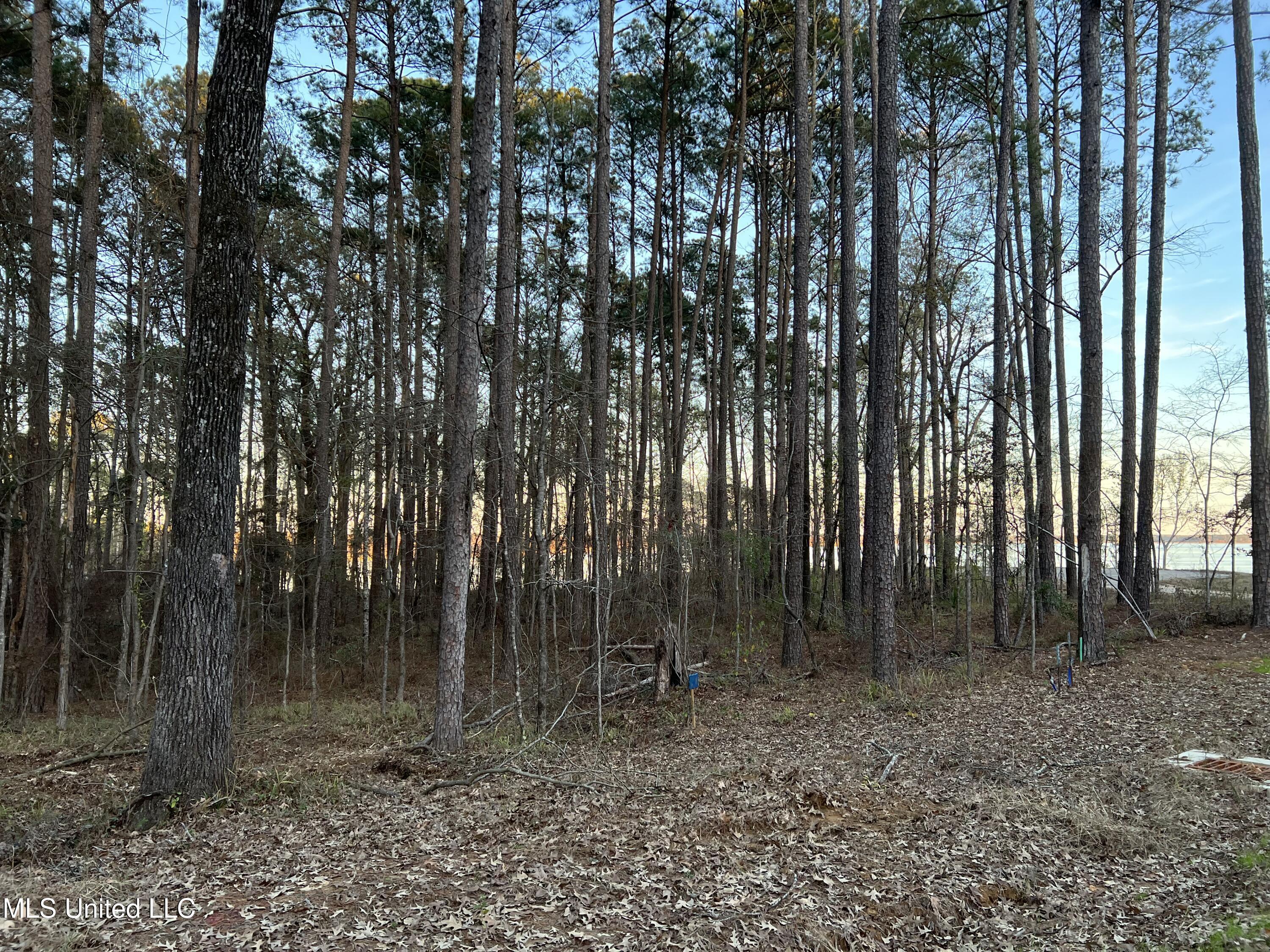 Image 3: Expedition Point Lot 8