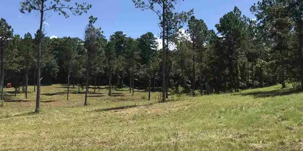 765 A & B TWELVE OAKS TRACE