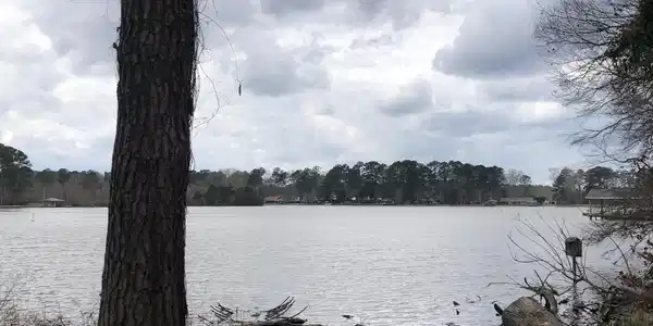 Audubon Point Dr Drive