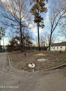 N Natchez Drive
