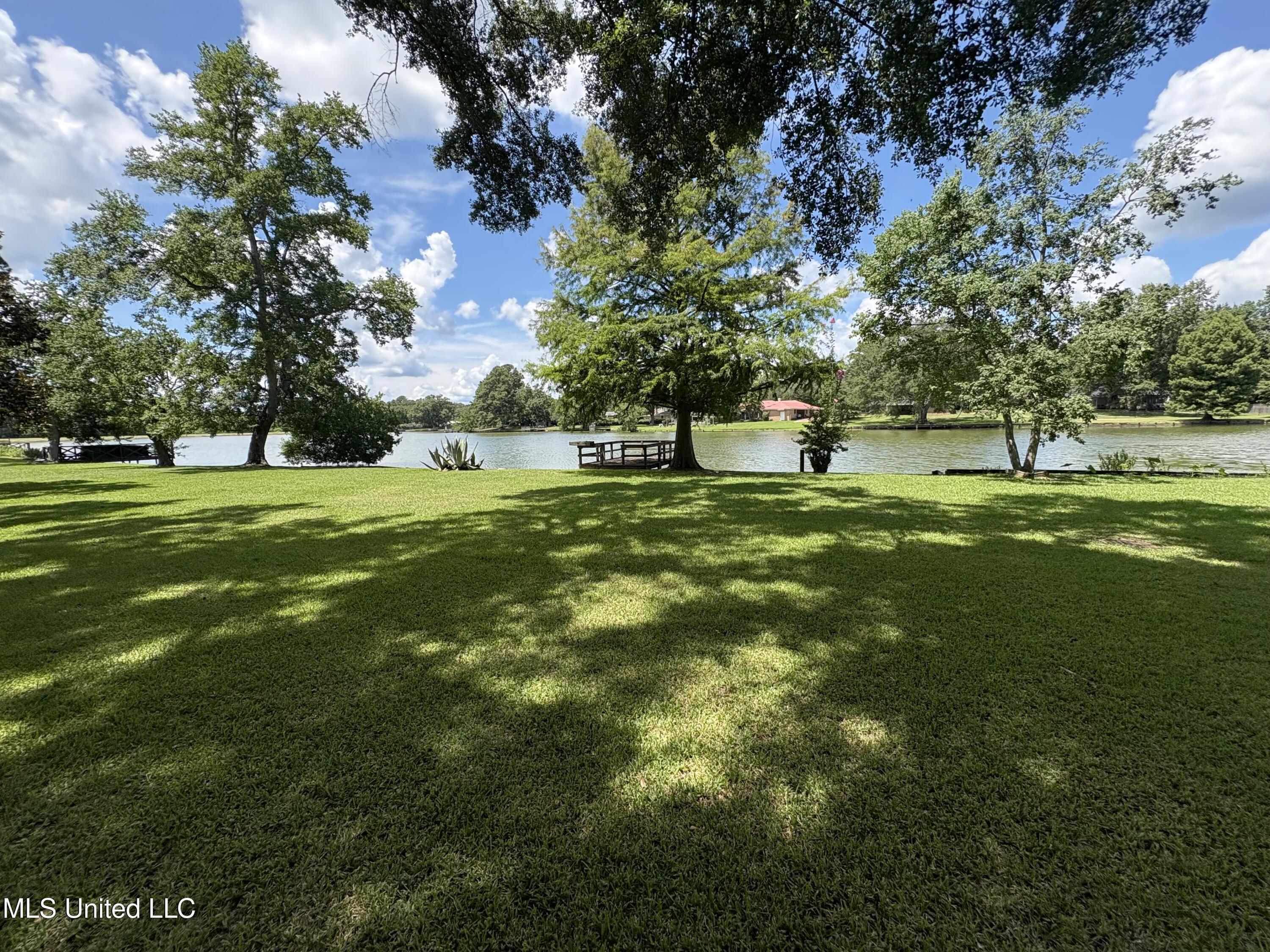 Image 2: IMG_7804