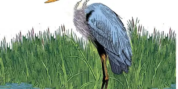 Image 2: 1. heron less neck