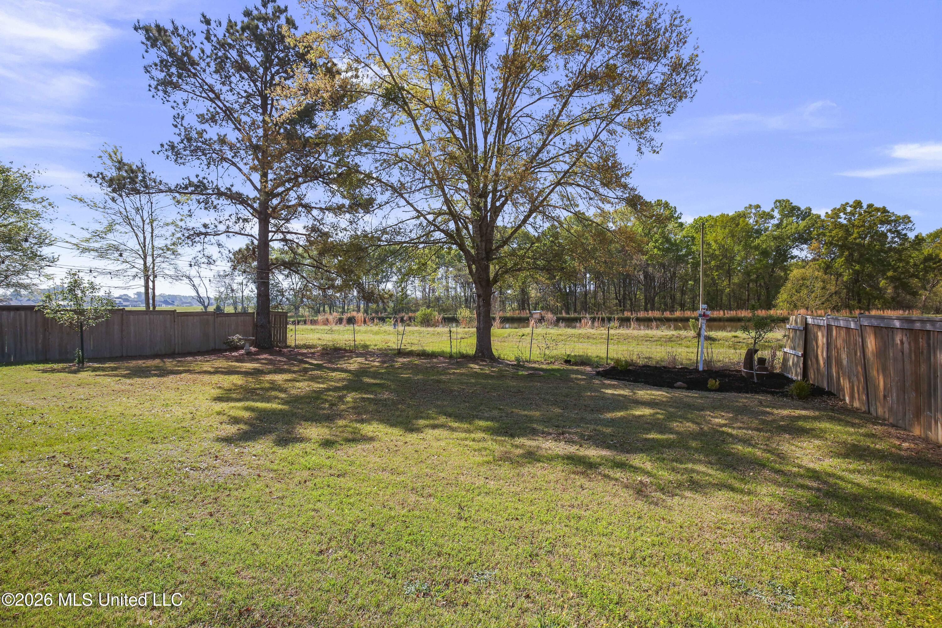 Image 3: 56-print-175 Shore View-56