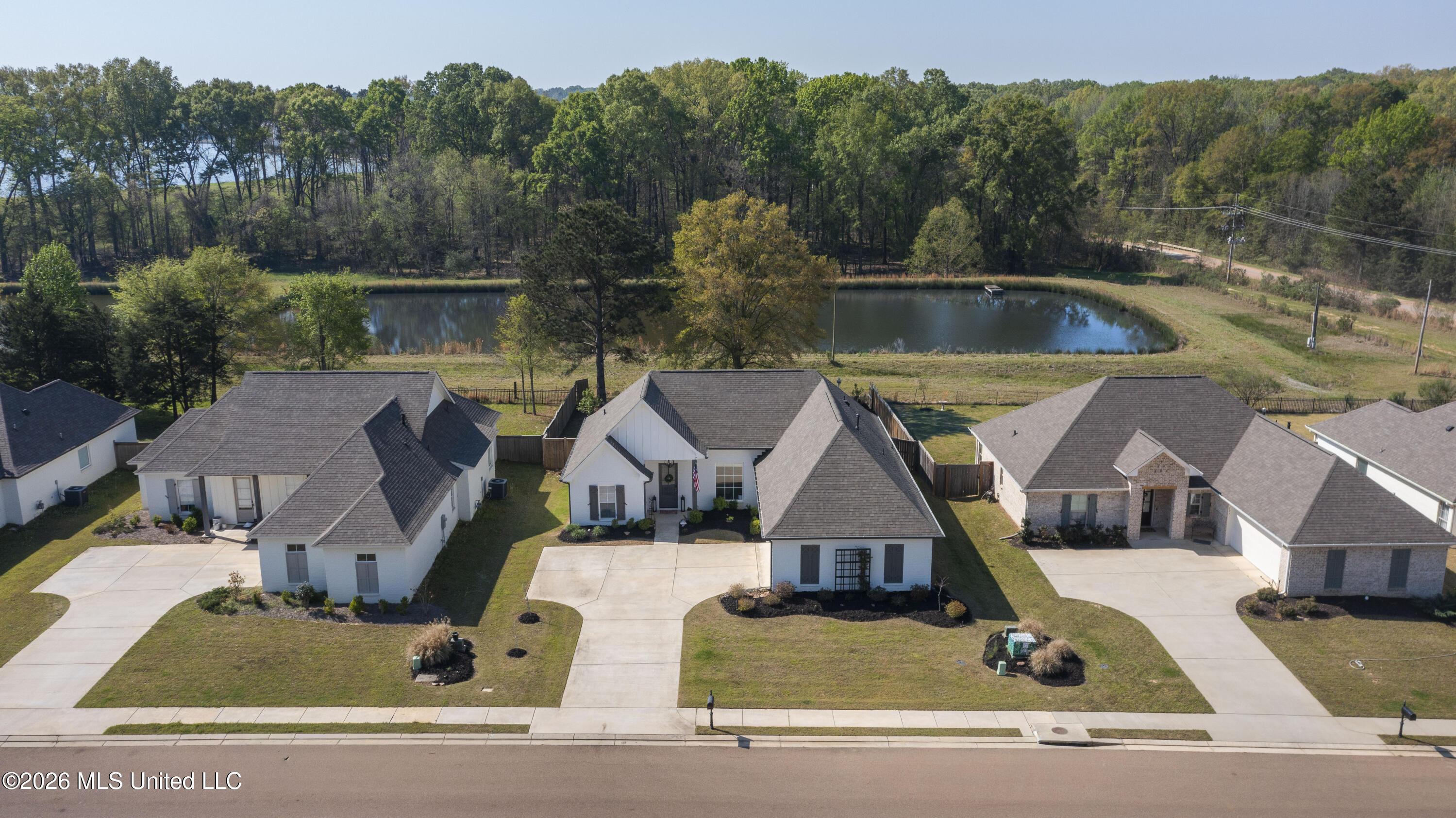 Image 4: 62-print-175 Shore View-62
