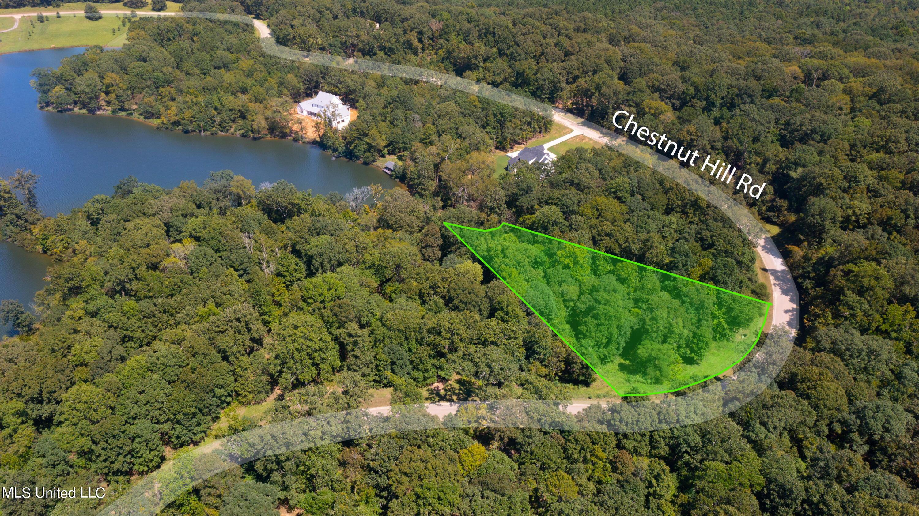 Image 4: Lot 17-ChestnutHill-1b