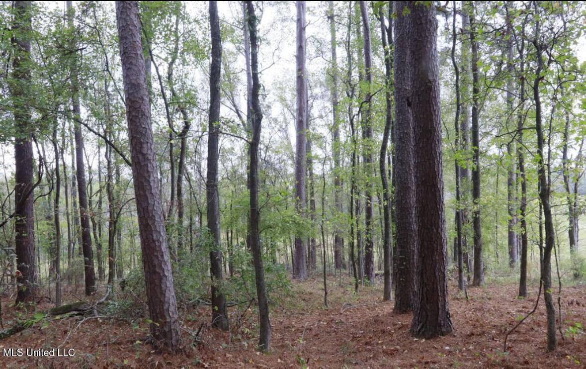 Image 2: image3