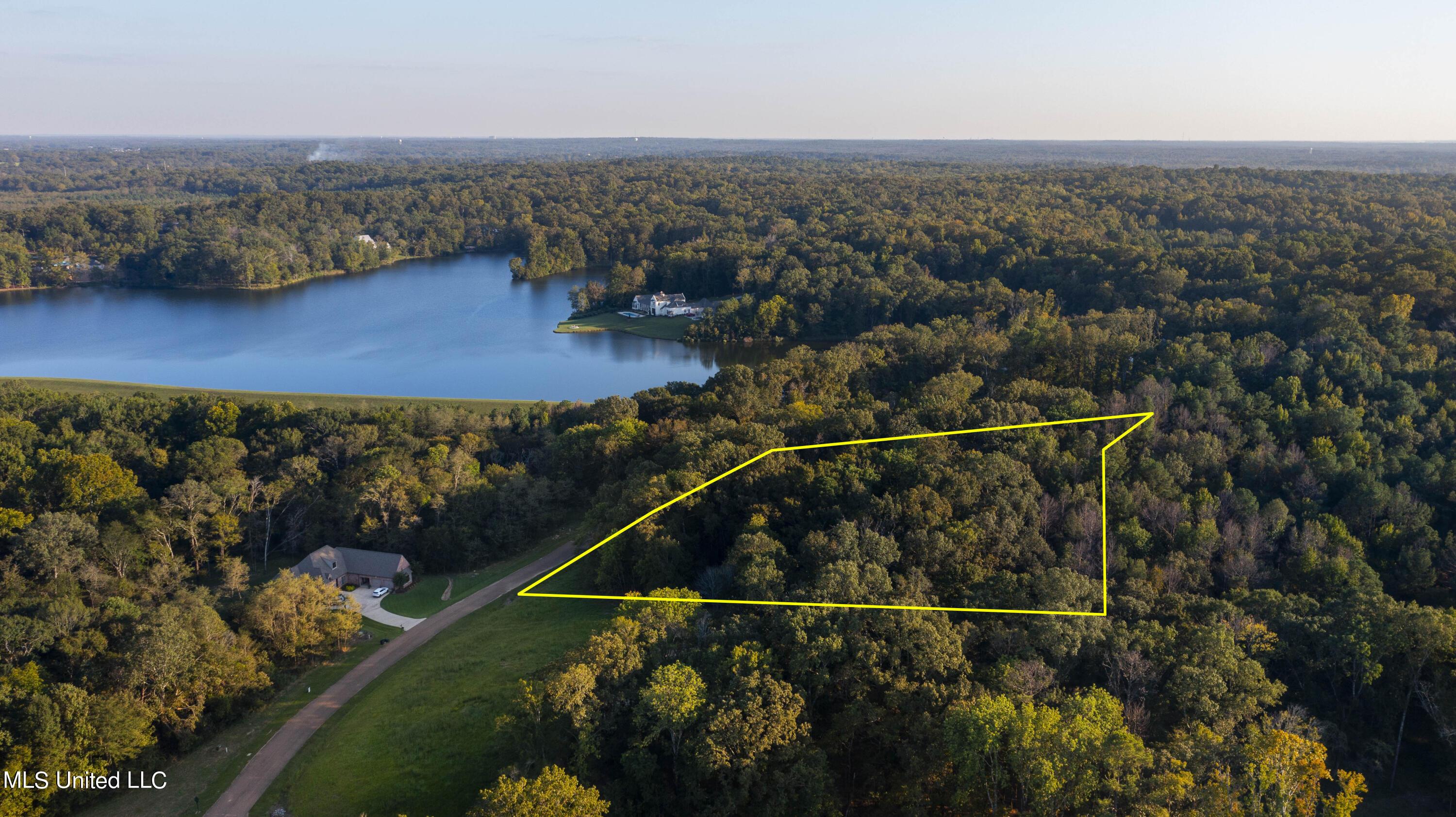 Image 3: Chestnut-4a