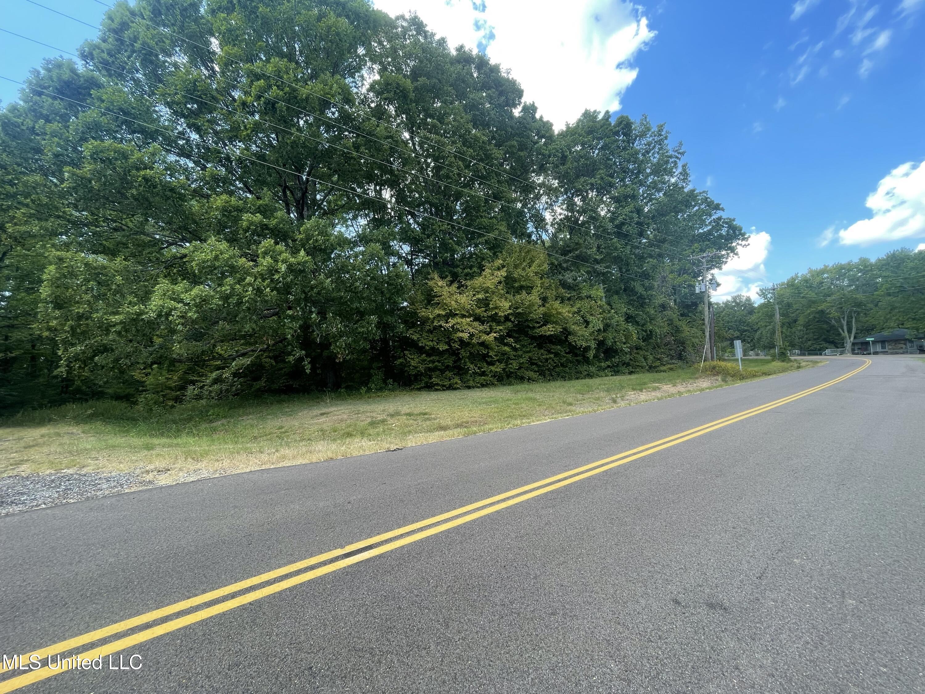 Image 1: Lot 37 road frontage 2