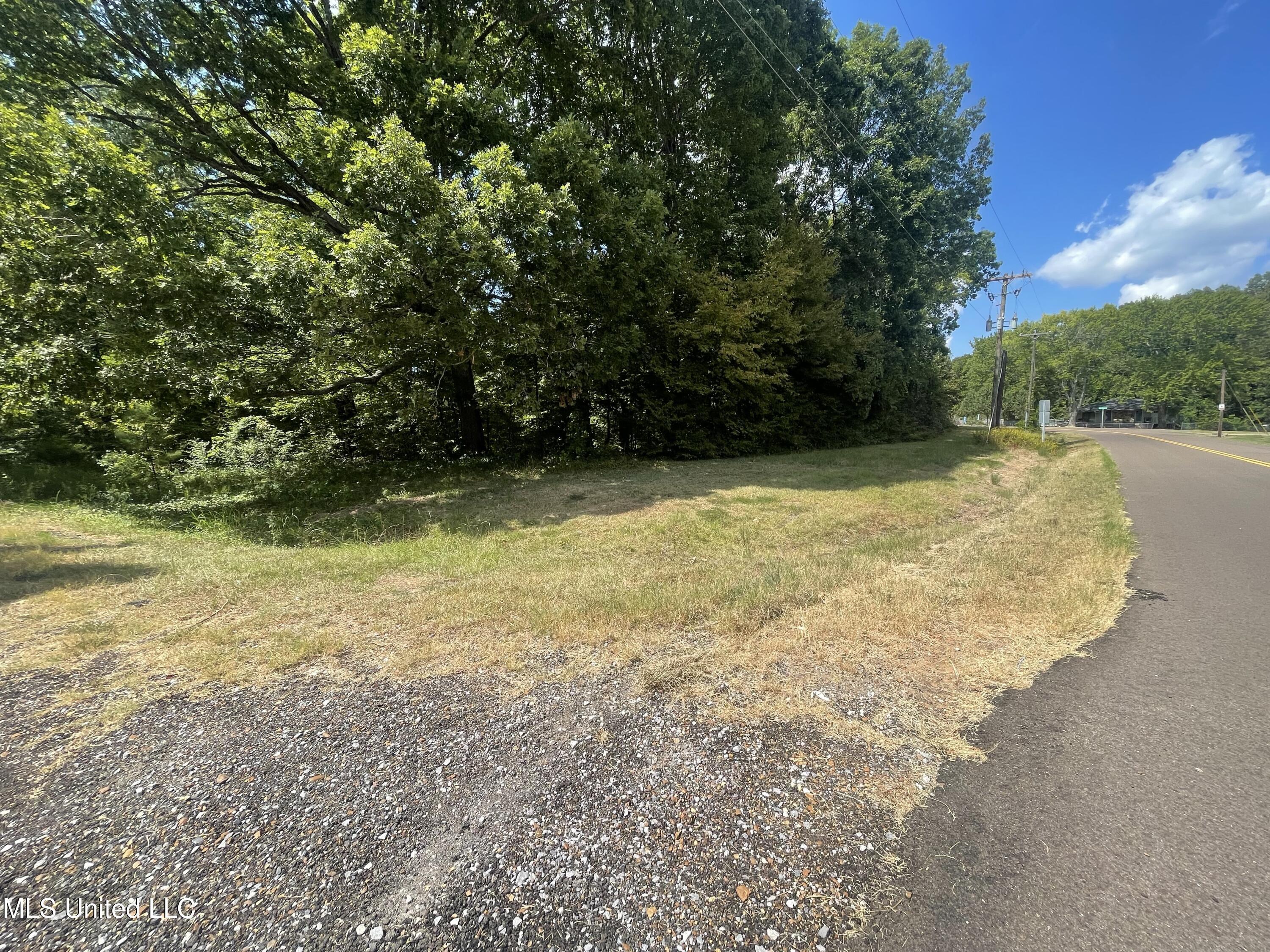 Image 2: Lot 37 road frontage