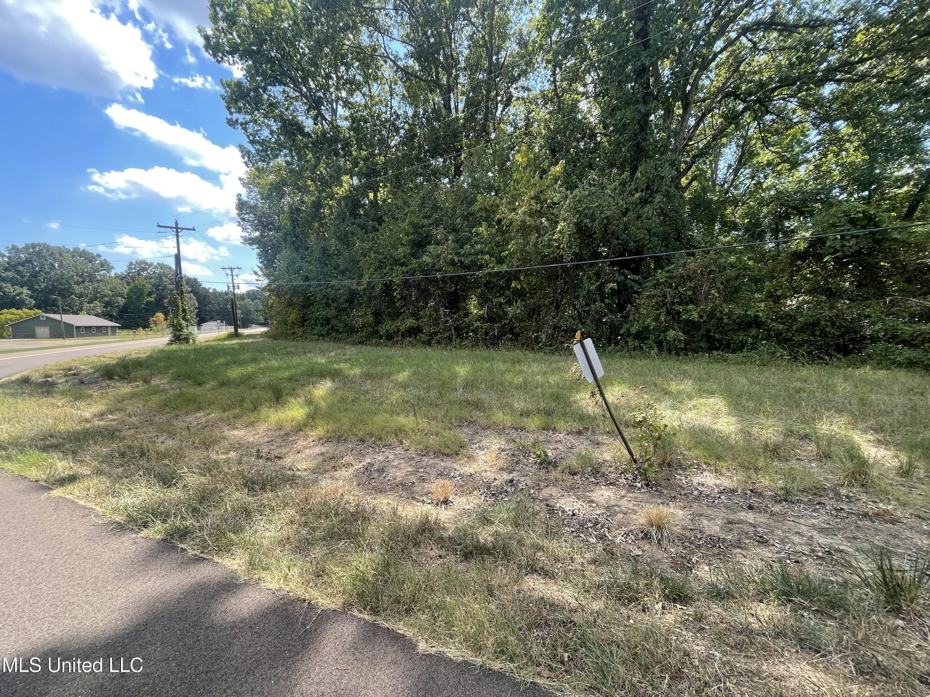 Image 4: Lot 38 2