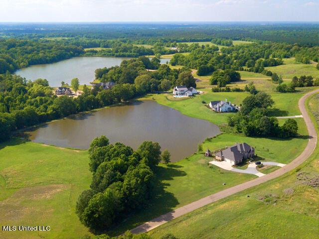 Image 2: ChestnutHill_Livingston_Heritage01