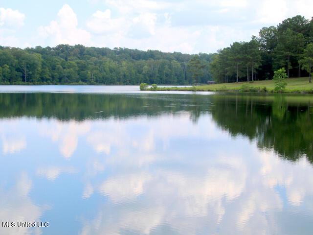 Image 3: ChestnutHill_Livingston_Heritage03