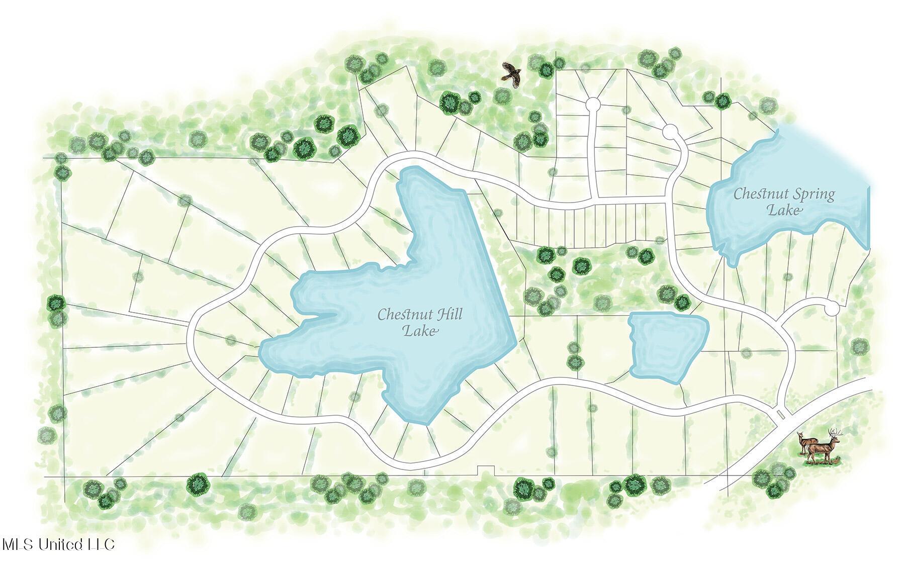 Image 4: ChestnutHill_MAPsign_2021_blank