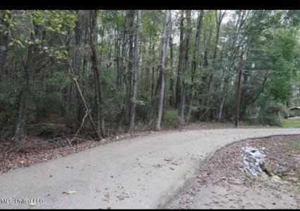 Westline Lots Drive