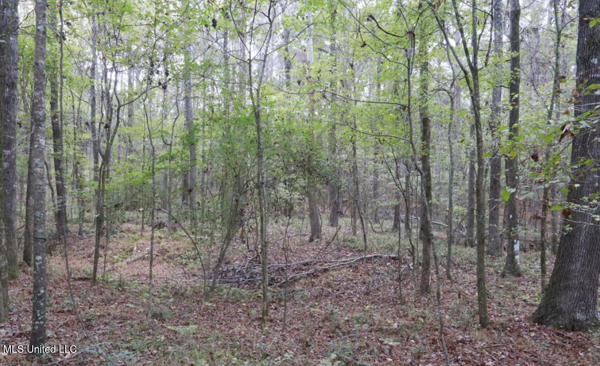 Image 3: image1 (1)