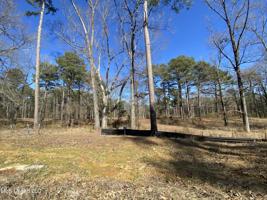 Calliope Park