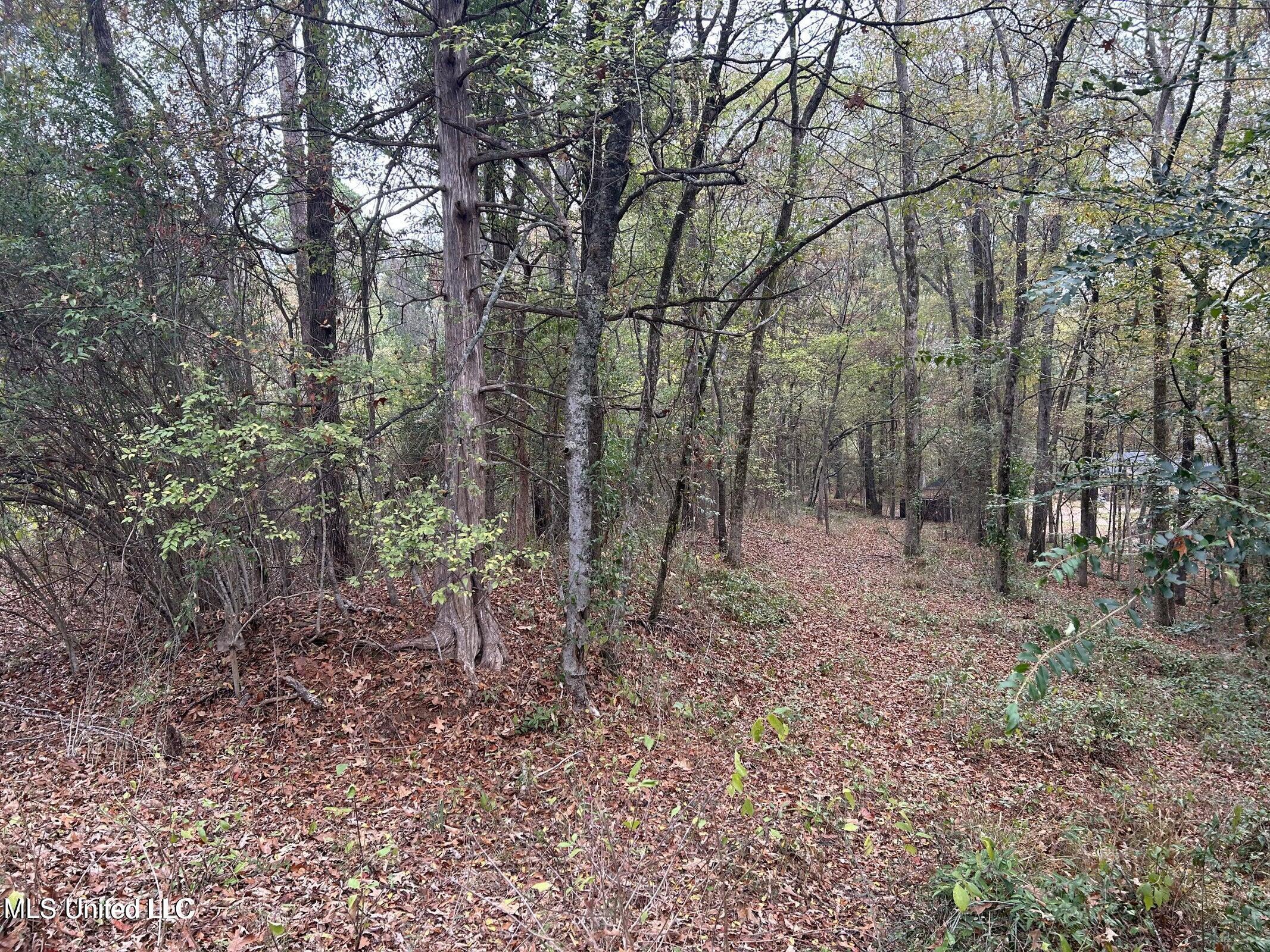 Image 2: Lot