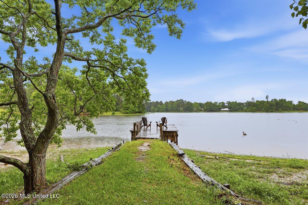 Image 1: 137 Lakeview Dr Hometoursms.com 36