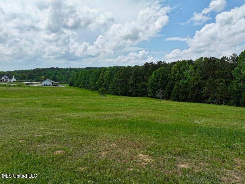 Image 4: 20250423201718769364000000-o