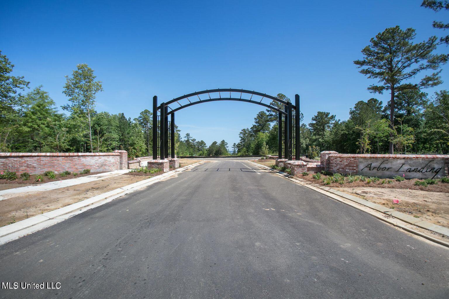 Image 2: Arbor Landing entrance 2