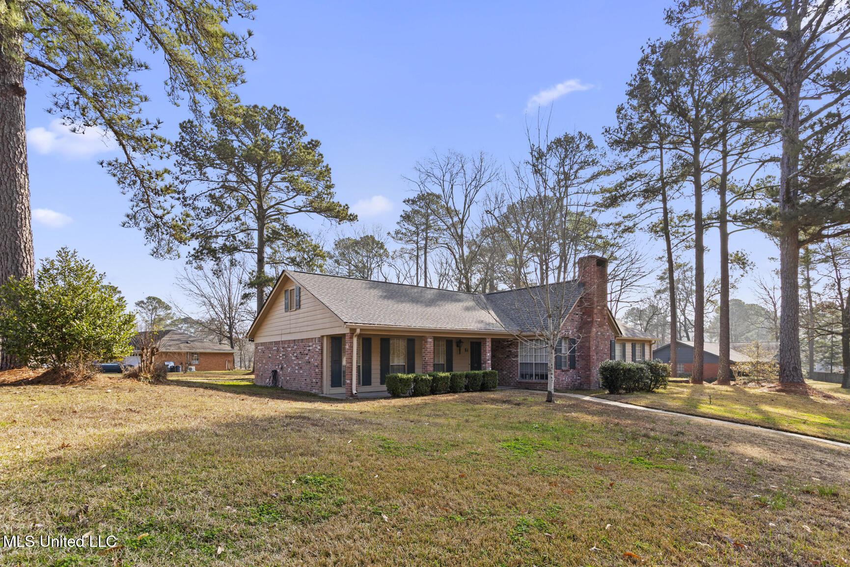 Image 2: 66 Terrapin-1