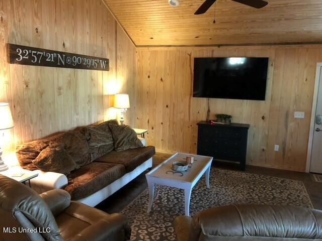 Image 3: Den