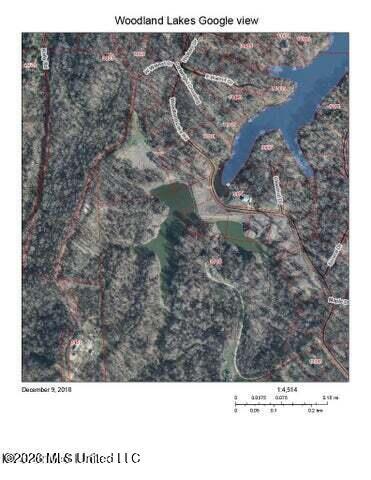 Image 3: Aerial View