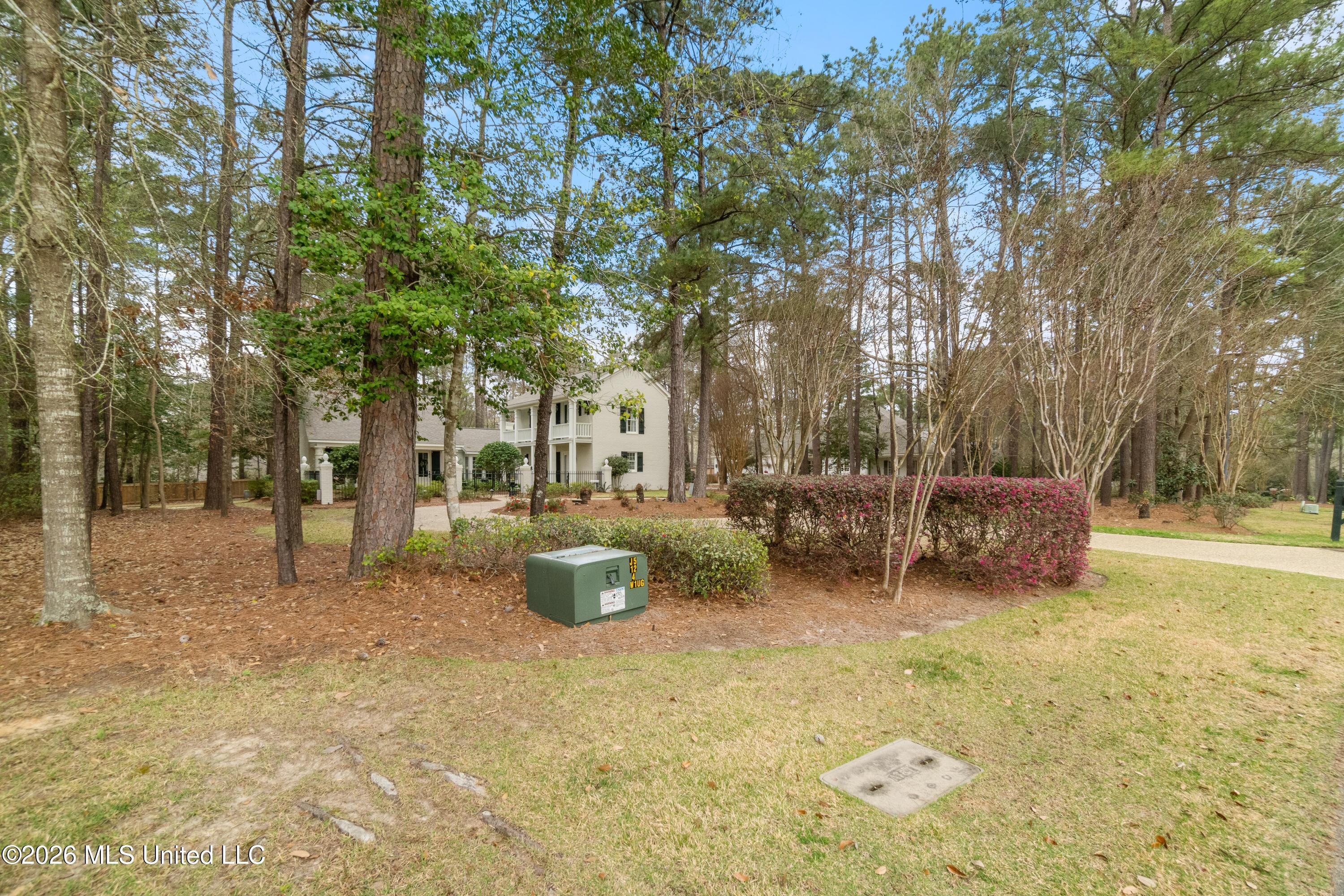 Image 2: 100_W_Canebrake_Blvd-2